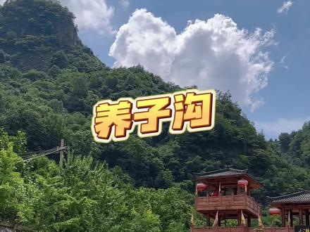 养子沟避暑圣地!边走边玩!推荐!#山青水秀好风光游山逛水看风景 #亲子游玩好去处 #感受大自然的气息和美景 #养子沟玩水 #养子沟游玩攻略