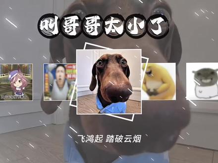 最新梗之—叫哥哥太小了 叫哥哥太小了#最新梗 #叫哥哥太小了 #搞笑 #热门 #抖音小助手dou上热门