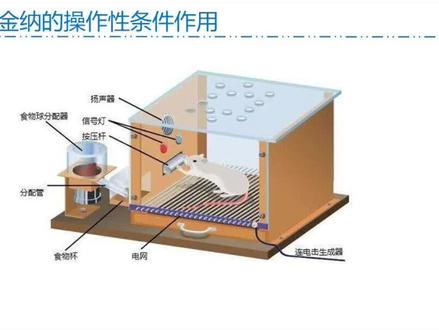 斯金纳的操作性条件作用 #市场营销 #客户管理 #PPT