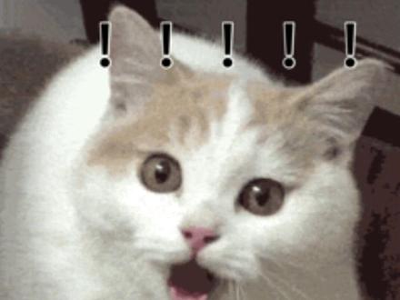 怎么不早点发现这个悟空浏览器这么好用 ##悟空浏览器#wstwyp