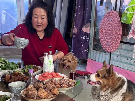 香香公主啊希望天天都像过年一样😆 #壮壮是香香公主 #香香公主的伟唠哥 #香香公主 #过年的快乐当然是吃吃吃