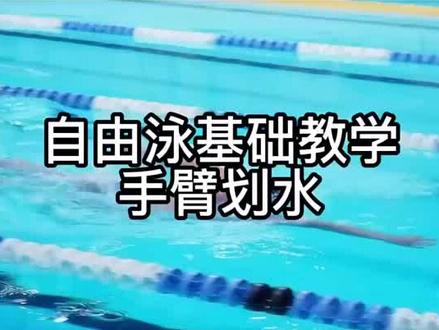 自由泳手臂划水慢动作。#自由泳 #游泳技巧 #游泳