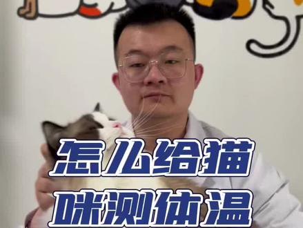 怎样给猫咪量体温#科学养宠攻略 #萌宠出道计划 #科学养猫 #铲屎官的乐趣