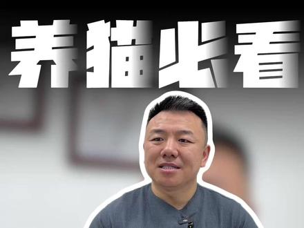 一条视频带你走完猫的一生 #猫咪