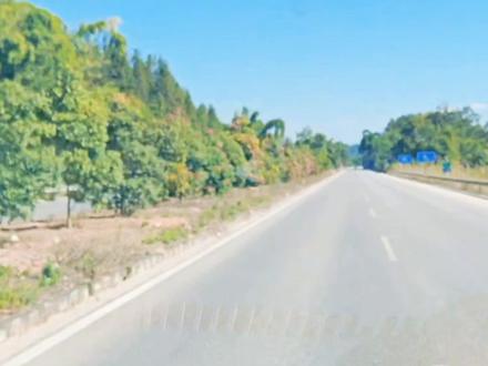 芒市避坑指南:只去4个,够深够爽! #芒市文旅 #芒市旅游攻略 #芒市旅游 #芒市房产 #芒市美食