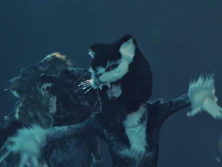 小猫🐈⬛你被我找到啦 看这是哪只毛茸茸的小猫
@_下大雨_ 被我找到啦
《丑八怪》直拍
#夏宇
#万兽之王巡回演唱会
#薛之谦广州演唱会