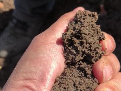 28岁小伙的生长之痛,手掌好像大啦?老爸老妈气场不同吓跑鸡! #农村 #vlog日常