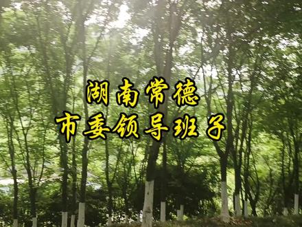 湖南常德市委领导班子