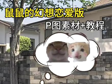 鼠鼠的幻想 王者孙权鼠鼠幻想p图教程来了#鼠鼠的幻想 #王者荣耀p图素材 #醒图焚决的神 #醒门永存 #人类对醒图的开发不足百分之一 耄耋幻想p图 耄耋幻想创意贴纸 王者孙权p图素材