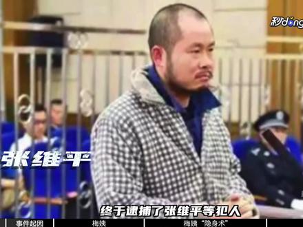 打造拐卖产业链,逃脱追捕23年!梅姨终于落网! #梅姨 #人口拐卖 #全球创作者计划