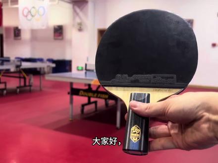 K码蝴蝶樊振东alc直板评测!#樊振东#乒乓球拍