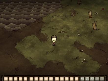 【干货技巧】寻找猪王的方法以及地皮大小的原因及关系。#饥荒单机 #饥荒 #干货技巧