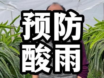 预防酸雨的妙招#记录我的农村生活 #新农人计划2023 #三农流量扶持计划 #自家果园