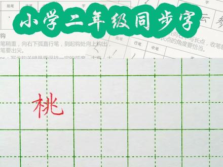 二年级(下)同步字“桃”#硬笔书法 #二年级生字#练字@DOU+小助手 @抖音小助手