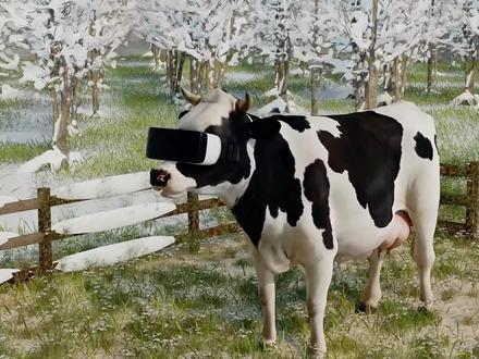 戴VR眼镜的奶牛 牧民竟然给奶牛戴VR眼镜和听音乐