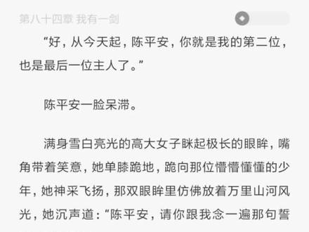 我陈平安唯有一剑 剑来!#剑来 #陈平安