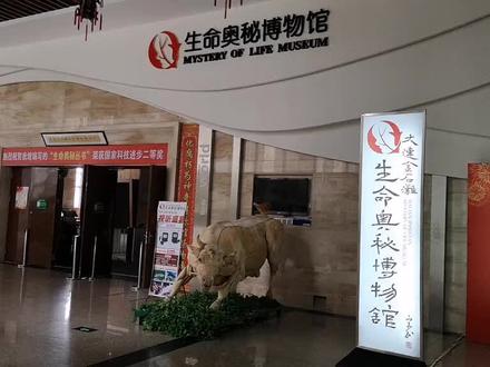 生命奥秘博物馆#抖音小助手 @DOU+小助手