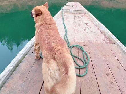 美人鱼千斤顶荒野巨物挑战赛 ‘干表姐’组合,终于换到物资啦,表姐超开心!#抖音荒野垂钓季#美人鱼千斤顶荒野巨物挑战赛#荒野巨物