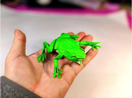 神谷树蛙折纸教程,推荐三十厘米纸折叠。#折纸 #手工 #青蛙 #折纸教程 #亲子手工