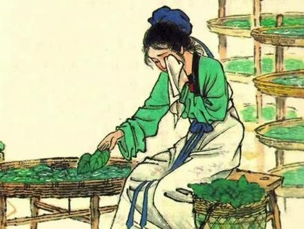 小学必背古诗词讲解《蚕妇》,了解经典文化,提高语文素养 #小学必背古诗词 #古诗词讲解