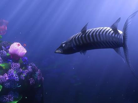 单亲鱼爸千里寻子,战鲨鱼斗海蜇勇猛无匹 #动漫 #海底总动员 #小丑鱼 #动画