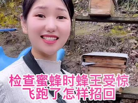 检查蜜蜂时蜂王受惊
飞跑了怎样招回#蜜蜂 #望远镜 #蜂蜜 #蜜蜂养殖 #养蜂技术分享 #养蜂人 #农家土蜂蜜 #户外找蜂 #诱蜂 #三农 #养殖 #农村生活 @DOU+小助手