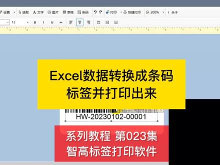 Excel数据转换成条码标签打印。#Excel条码打印 #智高标签打印软件 #Excel标签打印 #Excel转换条码