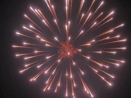 😏单发大烟花#新年快乐 #烟花🎆 #请你看烟花 #烟花最浪漫的一瞬间