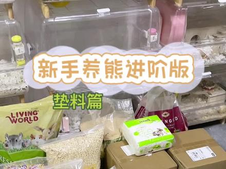 是不是被垫料弄晕了眼,这下还会不知道怎么用吗~#仓鼠 #金丝熊 #抖in萌宠计划 #养鼠日常分享 #新手养鼠指南