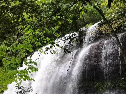 《瀑布》叶圣陶,一首包含深情的风景诗,生动再现瀑布的雄奇壮丽