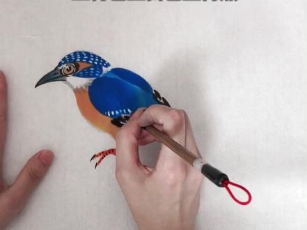 #国画 来画一只翠鸟吧~#一起学画画