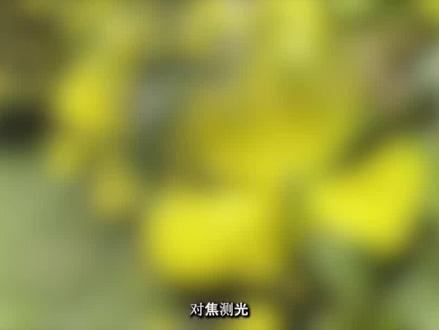 手机拍照技巧教学全套 8030a163a1d20b837bf502415b644b92~tplv-dy-resize-origshort-autoq-75:330.jpeg?x-expires=1986228000&x-signature=14dYEouy5jzgTf7n7eYhg6IkCtU%3D&from=3213915784&s=PackSourceEnum_AWEME_DETAIL&se=false&sc=cover&biz_tag=pcweb_cover&l=202212130256530102121400333A2E30FB