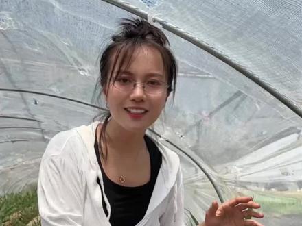 大姜4-5片叶是道坎,控水➕补肥,管理到位产量翻倍!#新农人计划2026 #来抖音学农技 #乡村守护人 #大姜种植