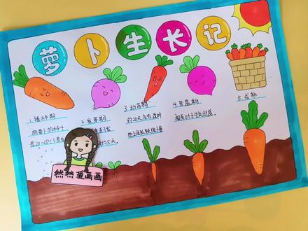 植物生长记录,萝卜生长记手抄报,有线稿可打印#植物观察手抄报 #主页取图 #手抄报模板 #用尺子画手抄报