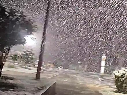 热点作文:《冬日里的雪景》 “自然景观”或“四季之美”主题,引导学生观察自然现象,感受季节变化,并用文字描绘出来。
好词:
白茫茫、零零散散、鹅毛大雪、银白色、晶莹、柔和、宁静、纯洁、无尽欢乐
好句:
起初,雪花只是零零散散地飘落,像天空洒下的细碎羽毛。
雪花打着旋儿,随风舞动,最后轻轻地落在地上,堆积成一层厚厚的白毯。
我伸出手,接住一片雪花,它瞬间在我的掌心融化,留下一丝凉意。
好段:
夜幕降临,天空突然变得白茫茫一片,雪花悄然降临。起初,它们只是零零散散地飘落,如同天空洒下的细碎羽毛。渐渐地,雪越下越大,变成了纷纷扬扬的鹅毛大雪。雪花在空中打着旋儿,随风舞动,最终轻轻地落在地上,一层又一层,堆积成厚厚的白毯。树木、房屋都披上了银白色的外衣,枝条上挂满了晶莹的冰花,整个世界变得宁静而美丽。我伸出手,接住一片飘落的雪花,它瞬间在我的掌心融化,留下一丝凉凉的惬意。这纯洁的雪花,仿佛能洗净一切尘埃,带来无尽的欢乐与宁静。
#写作 #写作素材 #作文 #作文素材 #好词佳句