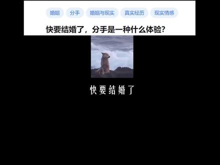 雪崩的时候,没有一片雪花是无辜的#萌说 #内容过于真实 #真实情感 #结婚前分手 #分手 #现实情感