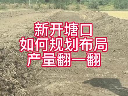 龙虾养殖,如何做到产量翻翻,第一步就是做好塘口规划布局! #三农 #小龙虾 #龙虾养殖