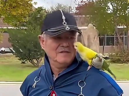 明明是山传媒顶梁柱,为何赵本山却退出了演艺工作?女儿一句“他不出来了”才懂他退休生活的从容选择#赵本山 #赵本山现状 #赵本山女儿球球 #影娱热点团 #内容启发搜索