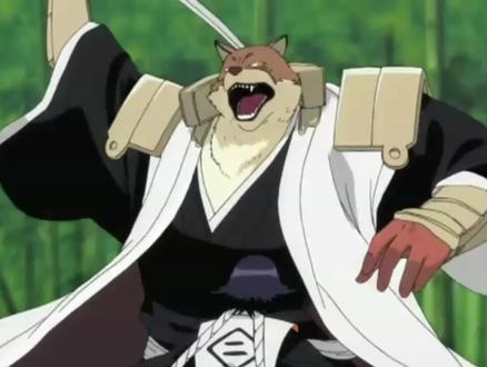 #动漫剪辑 #死神bleach ”碎蜂”VS狛村左阵