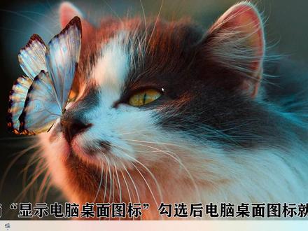 电脑怎么隐藏桌面图标?将“显示电脑桌面图标”取消勾选设置。 #电脑 #隐藏桌面图标