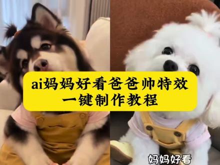 ai妈妈好看爸爸帅特效制作教程 妈妈好看爸爸帅特效ai 狗狗拟人特效 狗狗拟人说话 萌宠对话视频怎么做 狗狗特效教程#ai妈妈好看爸爸帅 宠物一家三口ai特效生成指令 动物ai妈妈好看怎么拍 ai妈妈好看爸爸帅宠物店 父女合拍金刚芭比怎么拍#萌宠对话视频 萌宠对话视频制作教程 妈妈好看爸爸不好看ai ai狗狗制作视频自动生成 ai妈妈好看爸爸不好看狗特效#剪映 ai妈妈好看爸爸不好看狗 ai妈妈比较火的视频同款 妈妈好看爸爸不好看ai 妈妈好看爸爸不好看宠物#妈妈好看爸爸不好看 ai怎么制作妈妈好看爸爸不好看小狗ai 妈妈好看爸爸不好看ai宠物#一键生成宠物