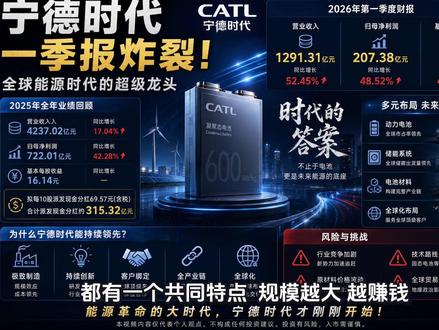 宁德时代一季报彻底炸裂:一天净赚2亿,全球能源时代真正的“超级龙头”浮出水面#宁德时代 #新能源 #储能