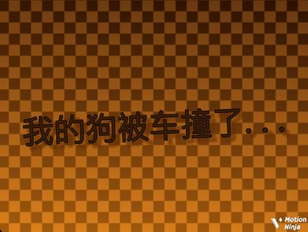 依旧雷霆furk😎#meme背景 #我的狗被车撞了 #求火