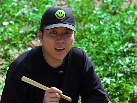 土豆,茄科的植物,它是外来物种#一日一植物 #植物 #新农人计划2021 #科普 #大自然 #生活