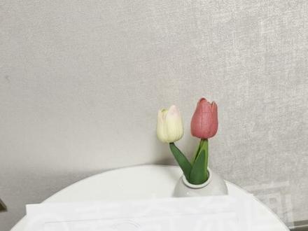 班级规则海报
新人教版四年级下册英语第一单元班级规则海报标识
版
🍀内置:案例版、书写版、线稿版、勾线版
#班级规则 #班级规则建立 #英语教具制作 #四年级下册英语第一单元#人教版四年级下册英语