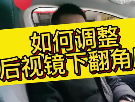 车辆外后视镜下翻的角度也能调整噢!#用车知识 #大众 #汽车知识 #斯柯达 @DOU+小助手 @抖音小助手