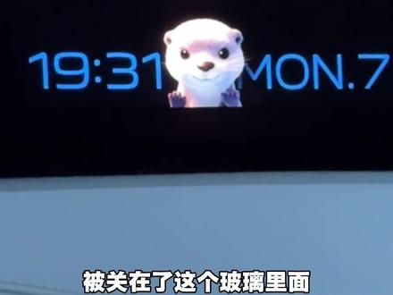 小米 yu7 的水獭小动画,提个小建议~#小米yu7