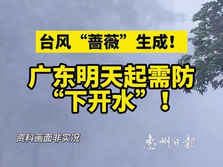 台风“蔷薇”生成,广东明天起需防“下开水”!#广东