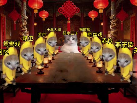 过年也要误闯天家#猫meme #古风dj #串烧 #音乐分享