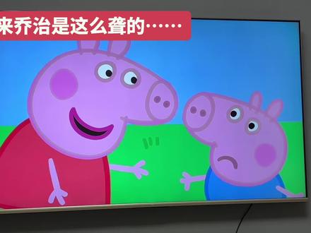 原来是这么聋的
我弟的笑声太魔性
#乔治#小猪佩奇